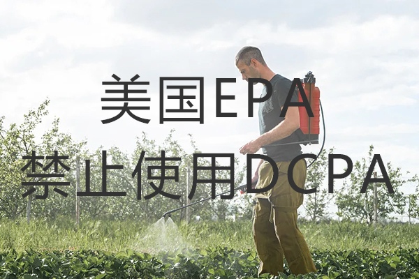 EPA 美国禁止使用氯酞酸二甲酯（DCPA）
