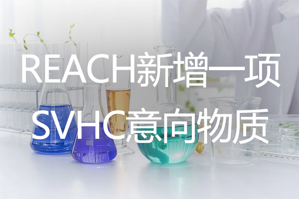 ezGPM-REACH新增一项SVHC意向物质